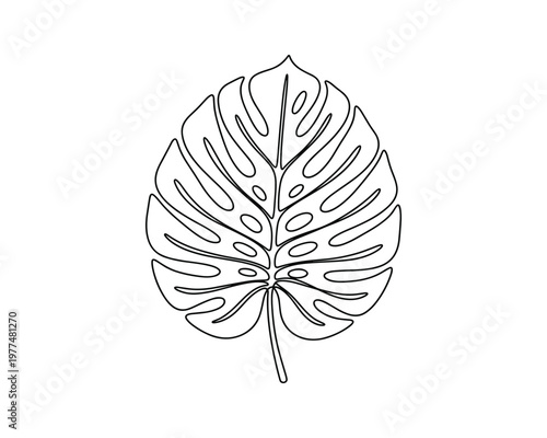 Exotic monstera deliciosa leaf continuous line drawing for tropical interior wall art and modern home decor use