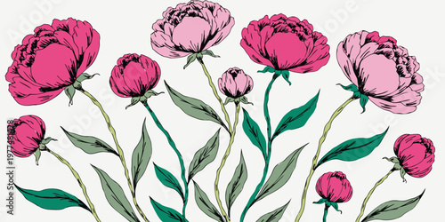 Delicate pink and fuchsia peonies in watercolor style with green leaves on a light background.