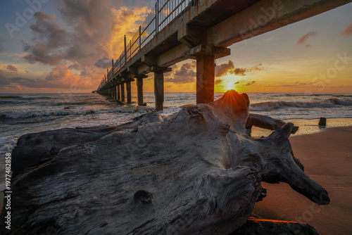 Vibrant morning sky over a beach with natural wooden debris.