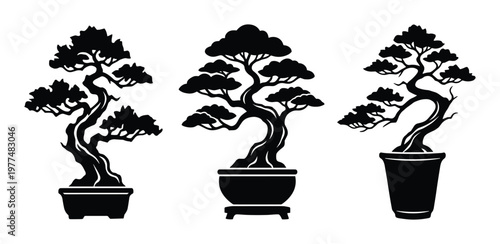 Oriental bonsai trees in pots black silhouette set isolated on transparent background for decorative projects