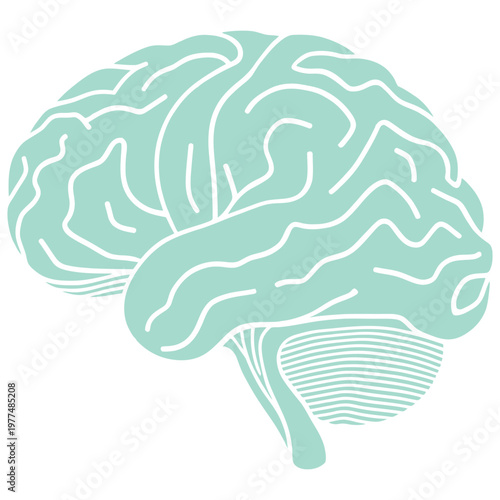 Stylized illustration of a human brain in a light teal color depicting cerebral cortex