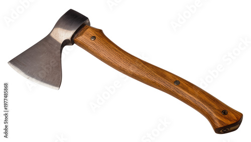 Quadro su tela Wooden handled axe with gray metal head and small blade