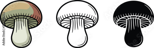 Edible mushroom silhouette & Outline and illustration set isolated on transparent background