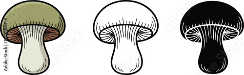 Edible mushroom silhouette & Outline and illustration set isolated on transparent background