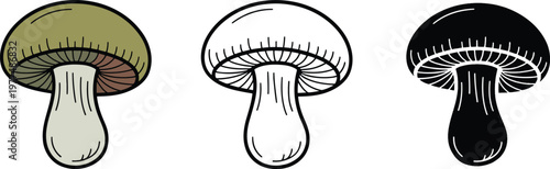 Edible mushroom silhouette & Outline and illustration set isolated on transparent background