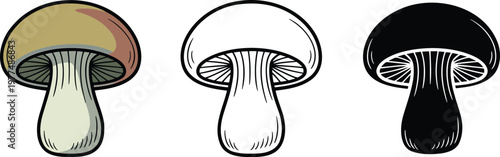 Edible mushroom silhouette & Outline and illustration set isolated on transparent background