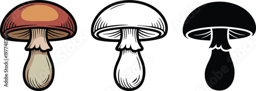 Edible mushroom silhouette & Outline and illustration set isolated on transparent background