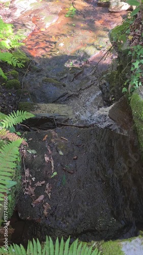 water in a natural stream, Galicia, Spain