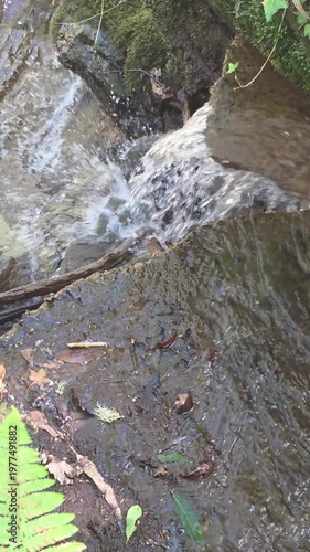 water in a natural stream, Galicia, Spain