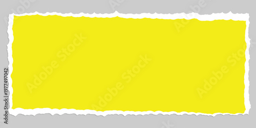 Torn Paper with space for text with gray background,Vector illustrator