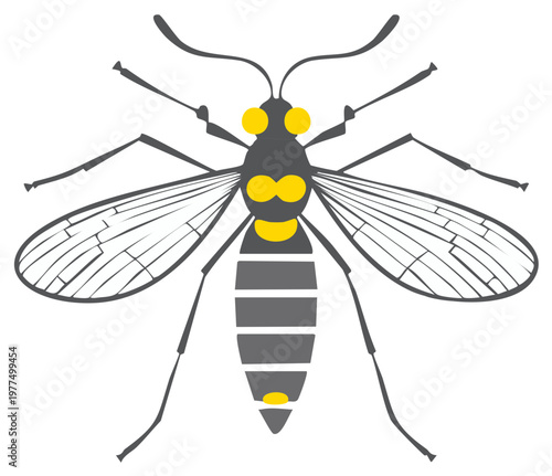 Stylized mosquito like insect graphic with yellow highlights and clear wings top view artwork