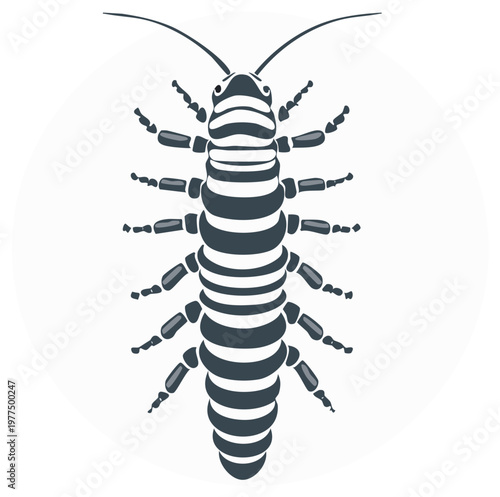 Vector Illustration of Groundlouse Insect with Stripes