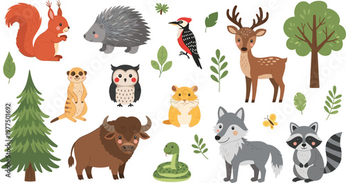 Australian Animals Vector Set Featuring Kangaroo Koala Crocodile Platypus Kiwi Bird Echidna and Possum for Educational Books Travel Souvenirs and Wildlife Conservation Graphics