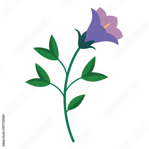 agrostemma githago flower on white background