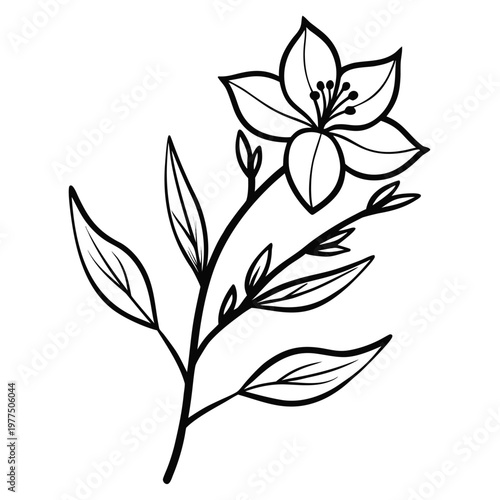 black and white floral vector