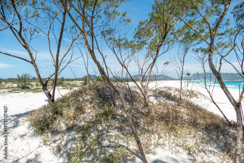 Wallpaper Mural beautiful fine white sandy beach at Praia das Dunas in Cabo Frio Torontodigital.ca