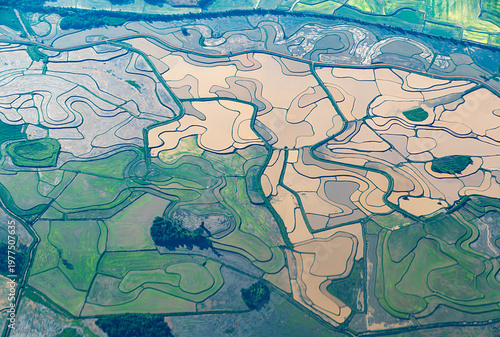 Wallpaper Mural aerial of rural landscape like rice paddies but fields near Porto Alegre, at river Rio Jacuí near  Porto Batista Torontodigital.ca