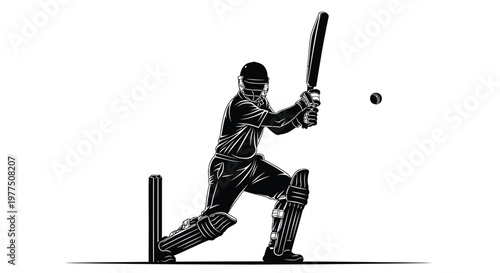 A cricket batsman prepares to hit a ball dynamic action silhouette
