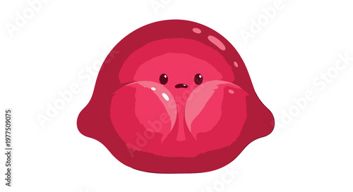 Cute pink jellyfish, cartoon jellyfish, vector illustration, pink sea creature