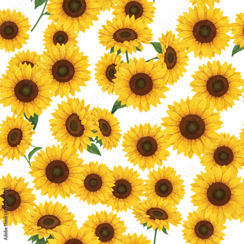 Scattered yellow sunflowers with green stems on white background