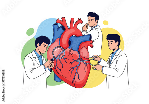 Flat style vector illustration of doctors examining human heart with magnifying glass, cardiology healthcare concept, cardiovascular diagnosis and medical research teamwork
