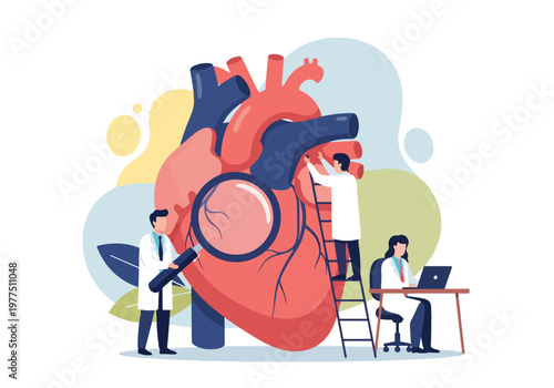 Flat style vector illustration of doctors examining human heart with magnifying glass, cardiology healthcare concept, cardiovascular diagnosis and medical research teamwork