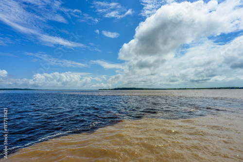 Quadro su tela Amazon River, Rio Negro
