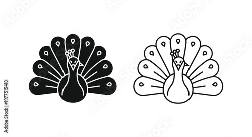Peacock Feather Patterns: Symbolic Black and White Designs Vector