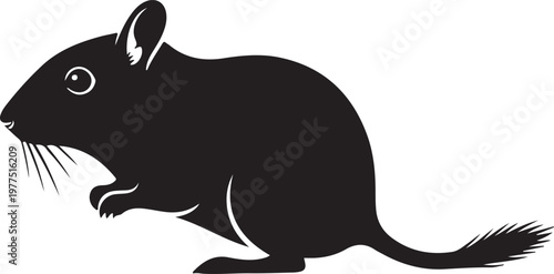 Vector illustration of a black silhouette of a wild Rat bird with a beak and wing isolated for nature wildlife design art.