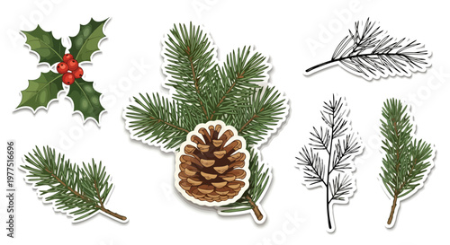 Hand Drawn Christmas Botanical Sticker Set with Pine Branches, Holly Berries, and Pinecone Vector Illustration