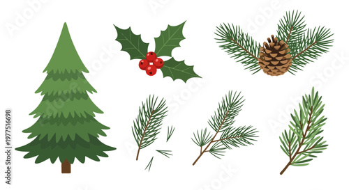 Set of Christmas evergreen elements including pine tree, holly berries, pinecone, and spruce branches isolated on white background