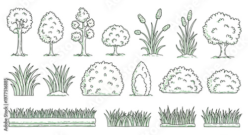 Set of hand-drawn vector illustrations of garden plants, trees, bushes, and grass tufts isolated on white background