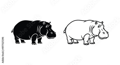 Hippopotamus Types: Black vs White Hippo Guide Vector