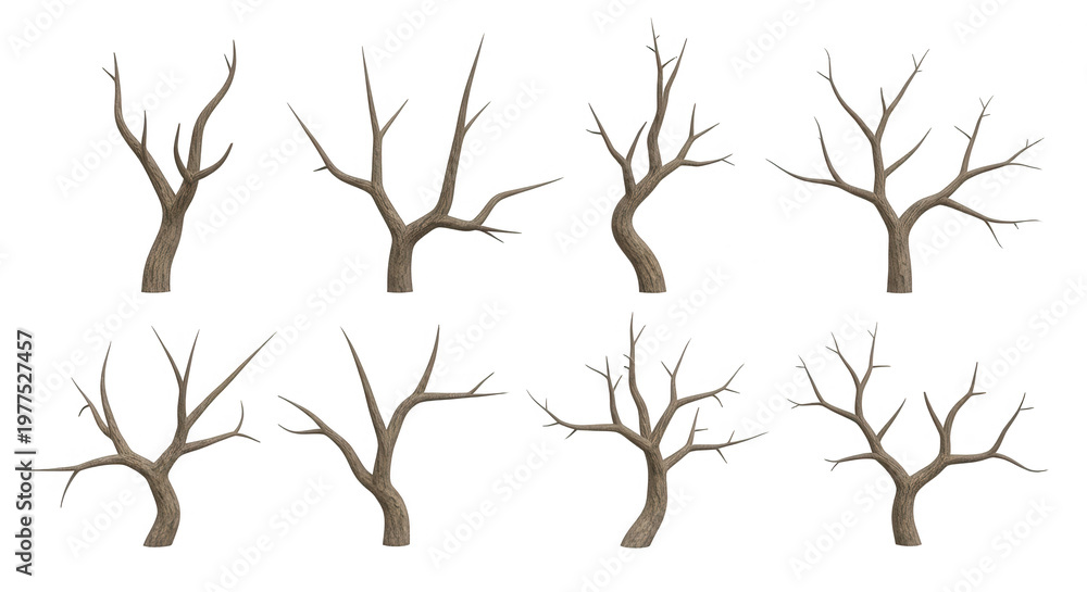 Fototapeta premium collection of eight bare dead trees on a white background useful for winter scenes or concepts