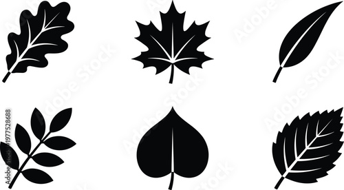 Six different leaf outlines arranged in two rows