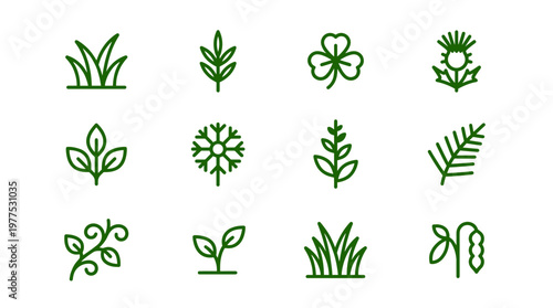 Collection of natural elements icons foliage, flora, and plant life symbols for eco-friendly and nature-themed designs