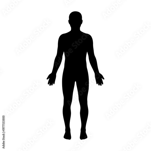 Human silhouette full body vector illustration for anatomy and design resources reference model