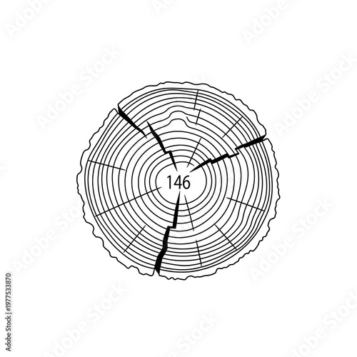 Detailed Tree Ring Cross Section - Wood Grain & Growth Rings Line Art