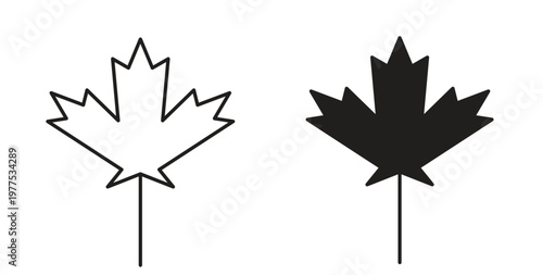 Maple leaf icon in black color. Vector icons on white background