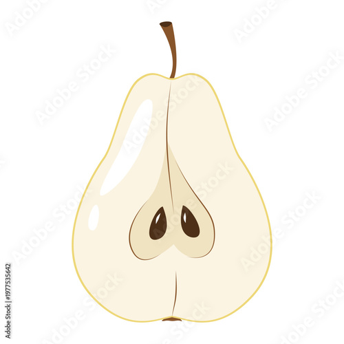 Juicy pear fruit half cut. Vector illustration