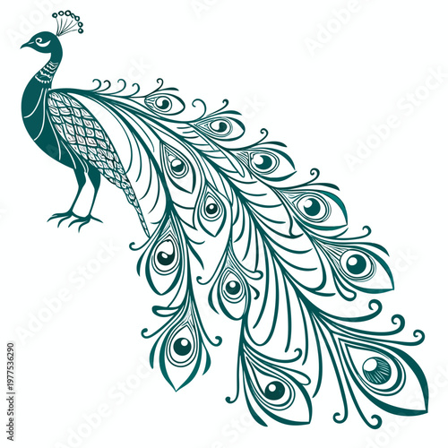 A stylized teal illustration depicts a majestic peacock with its elaborate tail feathers fully displayed showcasing intricate patterns high quality professional detailed