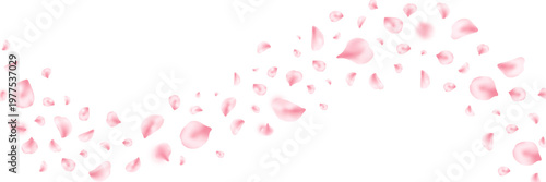 Spring cherry blossom frame. Sakura petal flying composition. Japan flower banner. Cosmetic beauty product wave. Natural decoration. Spa pink rose bg. Valentine romantic card. Vector illustration