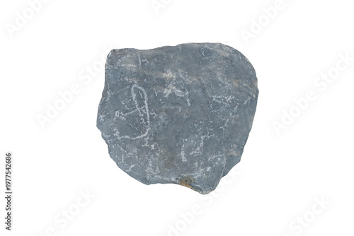 Fine-grained limestone isolated on white background, gray to dark blue in color, with white fractures or mineral veins.