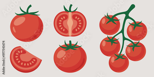 Collection of ripe red tomatoes displayed whole halved and on a vine isolated