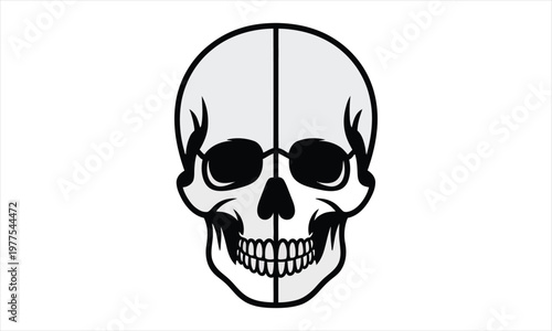 A black and white illustration of a human skull with a vertical line down the middle on isolated white background