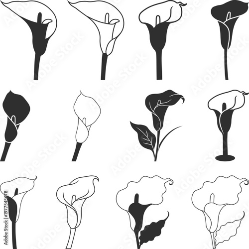Canvastavla Calla Lily Flower Vector Illustrations Set Silhouette, Black and White Calla Lil