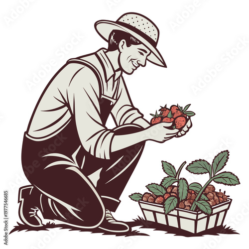 A vintage style illustration depicts a farmer kneeling and admiring a handful of freshly picked bright red strawberries high quality professional detailed