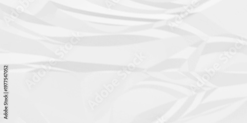 Creased paper parchment white blank page detail wrinkle blank white canvas. old paper crumple texture wrinkle. parchment empty letter texture.