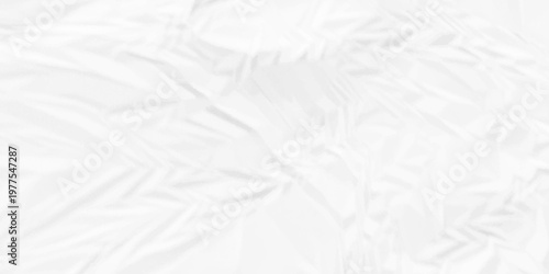 Creased paper parchment white blank page detail wrinkle blank white canvas. old paper crumple texture wrinkle. parchment empty letter texture.