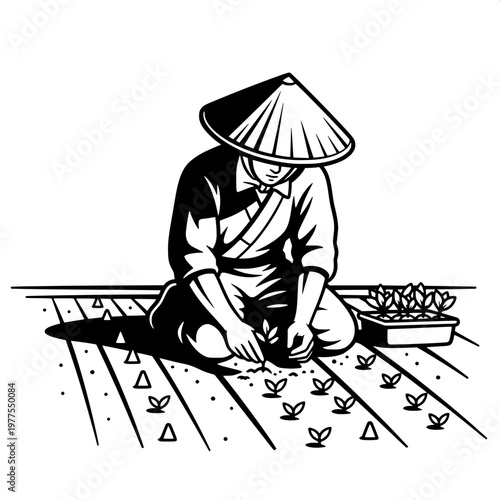 Farmer planting rice seedlings in traditional conical hat on flooded paddy field